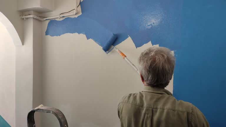 Best Fire-Damaged Drywall Repair  in Hornell, NY